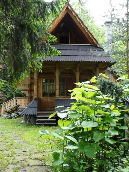 Domek Raj Zakopane Zewnętrze zdjęcie