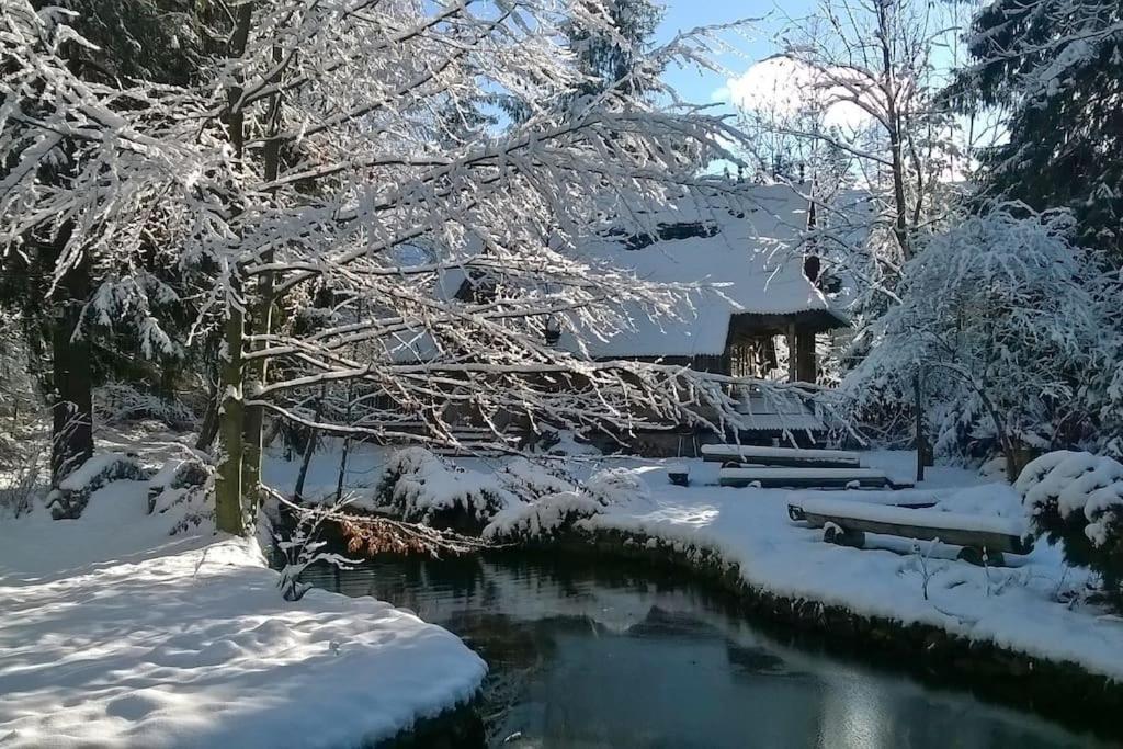Domek Raj Zakopane Zewnętrze zdjęcie