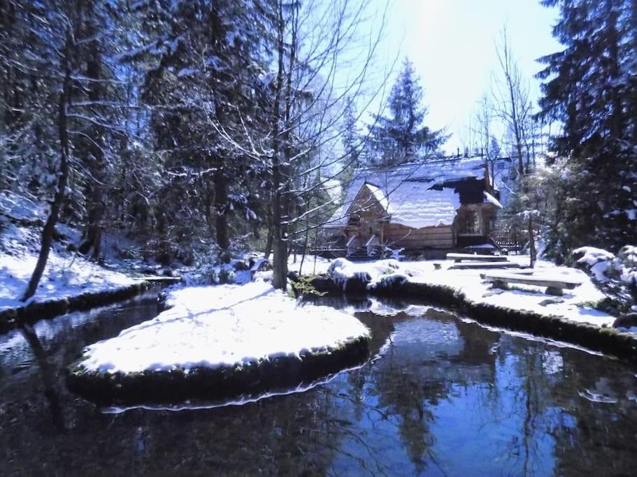 Domek Raj Zakopane Zewnętrze zdjęcie