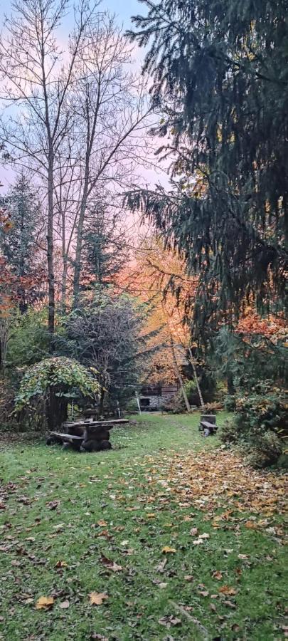 Domek Raj Zakopane Zewnętrze zdjęcie