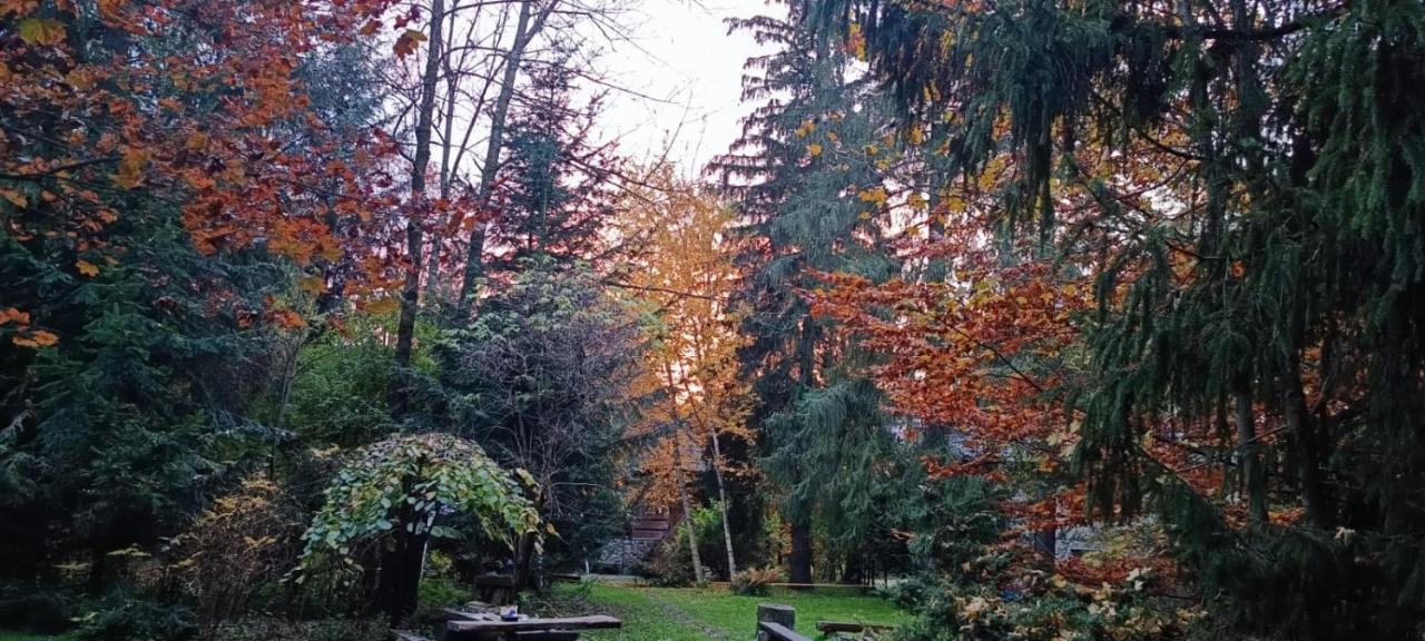Domek Raj Zakopane Zewnętrze zdjęcie
